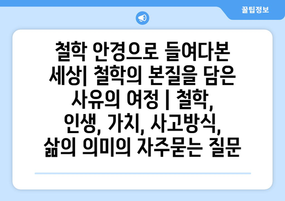 철학 안경으로 들여다본 세상| 철학의 본질을 담은 사유의 여정 | 철학, 인생, 가치, 사고방식, 삶의 의미