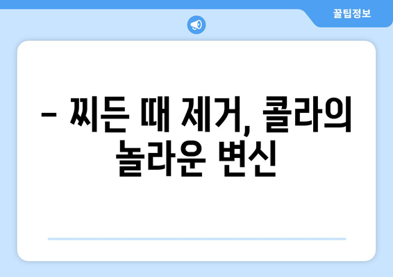 콜라로 변기 청소? 놀라운 효과와 팁 | 변기 청소, 콜라 활용, 찌든 때 제거, 깨끗한 변기