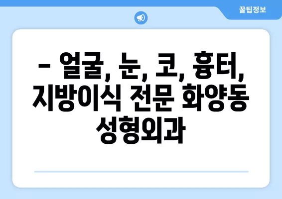 서울 광진구 화양동 성형외과 추천|  5곳 비교 & 후기 | 일요일 진료, 얼굴/눈/코/흉터/지방이식 전문