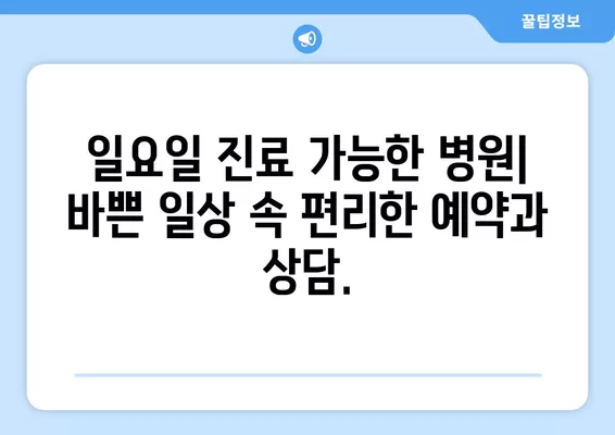 문현역 성형외과 추천| 일요일 진료 가능한 전문의 5곳 비교 가이드 | 눈, 코, 얼굴, 흉터, 지방이식