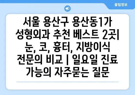 서울 용산구 용산동1가 성형외과 추천 베스트 2곳| 눈, 코, 흉터, 지방이식 전문의 비교 | 일요일 진료 가능