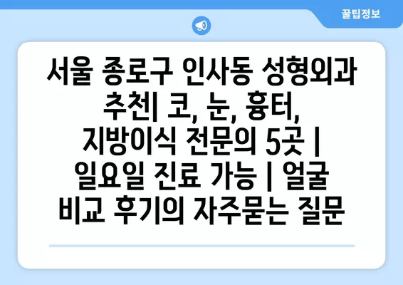 서울 종로구 인사동 성형외과 추천| 코, 눈, 흉터, 지방이식 전문의 5곳 | 일요일 진료 가능 | 얼굴 비교 후기