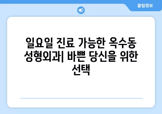 옥수동 성형외과 추천| 흉터, 얼굴, 코, 눈, 지방이식 전문의 5곳 | 일요일 진료 가능 | 서울 성동구