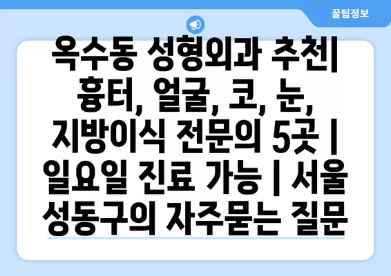 옥수동 성형외과 추천| 흉터, 얼굴, 코, 눈, 지방이식 전문의 5곳 | 일요일 진료 가능 | 서울 성동구