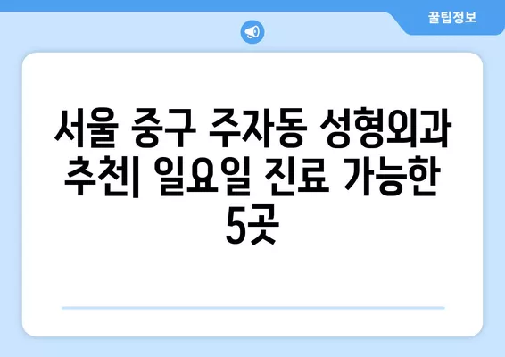 서울 중구 주자동 성형외과 추천| 일요일 진료 전문의 5곳 | 지방이식, 코, 얼굴, 흉터, 눈 성형