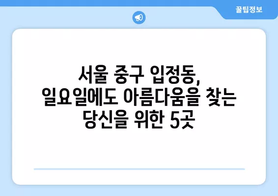 서울 중구 입정동 성형외과 추천| 일요일 진료 가능한 전문의 5곳 비교 (눈, 얼굴, 코, 흉터, 지방이식) | 후기 & 가격 정보