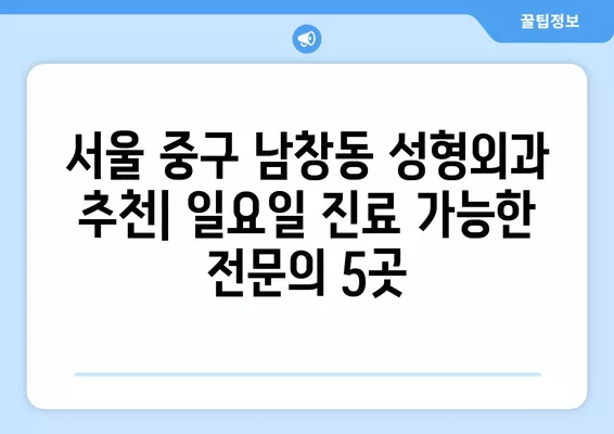 서울 중구 남창동 성형외과 추천| 일요일 진료 가능한 전문의 5곳 | 지방이식, 코, 흉터, 눈, 얼굴 성형 가이드