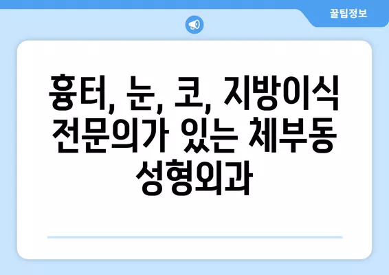 서울 종로구 체부동 성형외과 추천| 흉터, 눈, 코, 지방이식 전문의 2곳 | 일요일 진료 가능 | 비교 분석