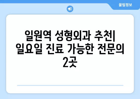 일원역 성형외과 추천| 일요일 진료 가능한 전문의 2곳 | 눈, 얼굴, 지방이식, 흉터, 코