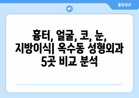 옥수동 성형외과 추천| 흉터, 얼굴, 코, 눈, 지방이식 전문의 5곳 | 일요일 진료 가능 | 서울 성동구