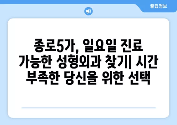 서울 종로구 종로5가 성형외과 추천| 일요일 진료 가능한 실력파 5곳 비교 가이드 | 지방이식, 눈, 코, 얼굴, 흉터 전문