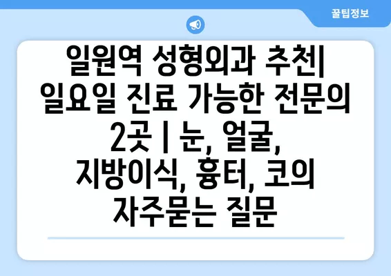 일원역 성형외과 추천| 일요일 진료 가능한 전문의 2곳 | 눈, 얼굴, 지방이식, 흉터, 코