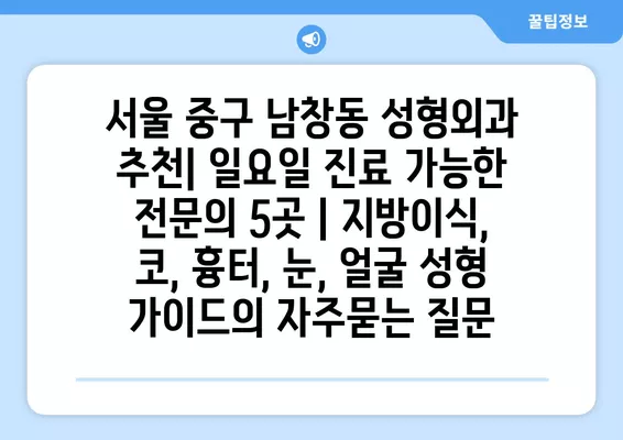 서울 중구 남창동 성형외과 추천| 일요일 진료 가능한 전문의 5곳 | 지방이식, 코, 흉터, 눈, 얼굴 성형 가이드