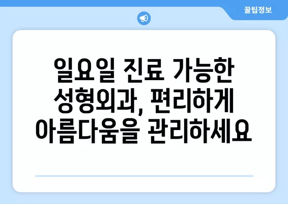 서울 중구 입정동 성형외과 추천| 일요일 진료 가능한 전문의 5곳 비교 (눈, 얼굴, 코, 흉터, 지방이식) | 후기 & 가격 정보