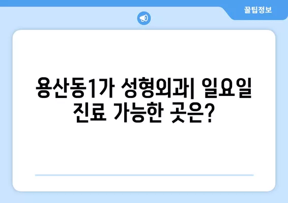 서울 용산구 용산동1가 성형외과 추천 베스트 2곳| 눈, 코, 흉터, 지방이식 전문의 비교 | 일요일 진료 가능