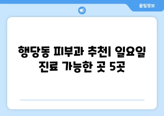 서울 성동구 행당동 피부과 추천| 전문의 일요일 진료 & 시술 비교 가이드 | 보톡스, 여드름, 레이저 제모, 필러, 리프팅 5곳