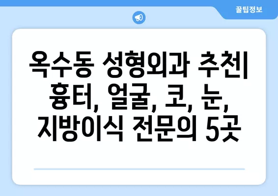 옥수동 성형외과 추천| 흉터, 얼굴, 코, 눈, 지방이식 전문의 5곳 | 일요일 진료 가능 | 서울 성동구