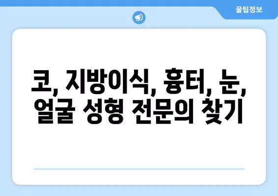 구암역 성형외과 추천| 일요일 진료 가능한 유명한 3곳 | 코, 지방이식, 흉터, 눈, 얼굴 전문의