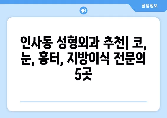 서울 종로구 인사동 성형외과 추천| 코, 눈, 흉터, 지방이식 전문의 5곳 | 일요일 진료 가능 | 얼굴 비교 후기