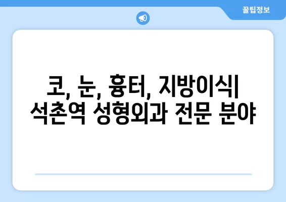 석촌역 성형외과 추천| 일요일 진료 가능한 전문의 5곳 | 코, 눈, 흉터, 지방이식, 얼굴 비교 가이드