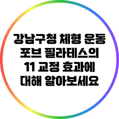 강남구청 체형 운동: 포브 필라테스의 1:1 교정 효과에 대해 알아보세요