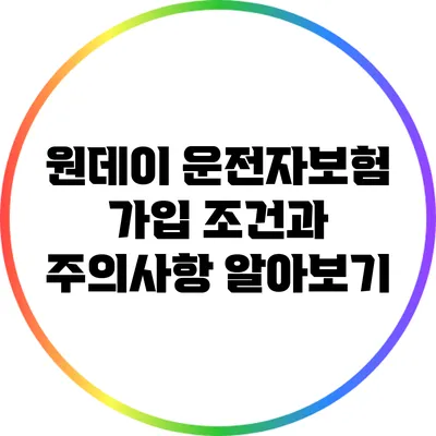 원데이 운전자보험 가입 조건과 주의사항 알아보기