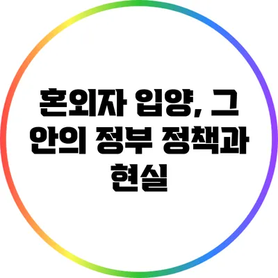 혼외자 입양, 그 안의 정부 정책과 현실