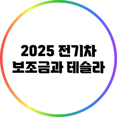 2025 전기차 보조금과 테슬라