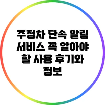 주정차 단속 알림 서비스: 꼭 알아야 할 사용 후기와 정보