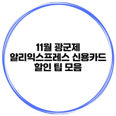 11월 광군제 알리익스프레스 신용카드 할인 팁 모음