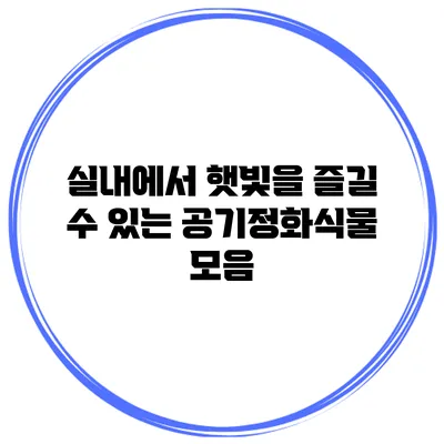 실내에서 햇빛을 즐길 수 있는 공기정화식물 모음